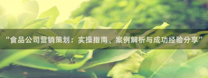 必赢网怎么打不开了