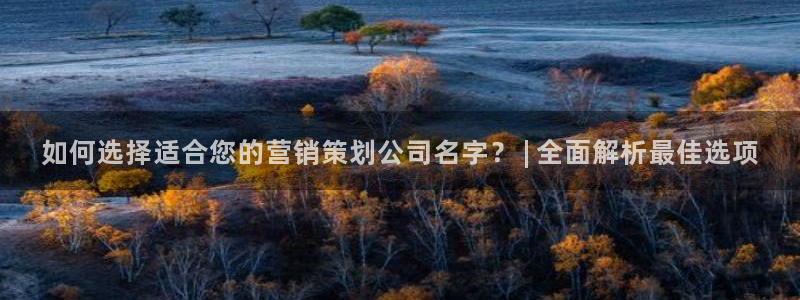 必赢官网下载app