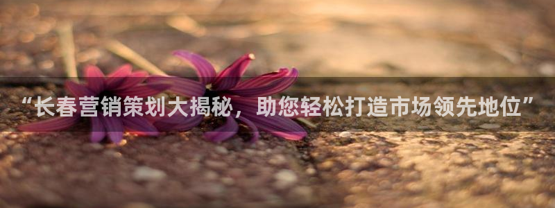 必赢科技中国有限公司