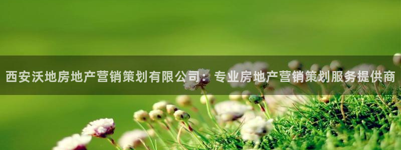必赢平台官方网站