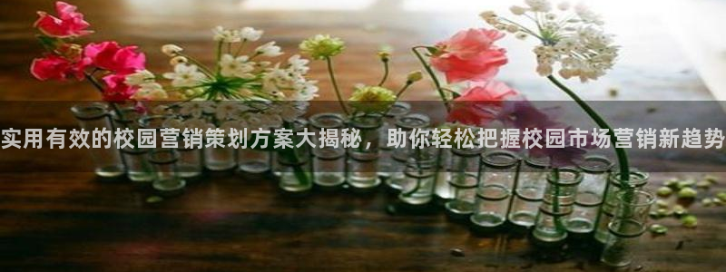 73882必赢app下载