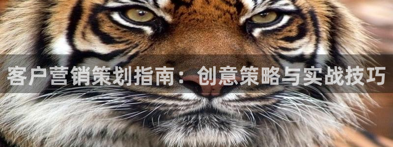必赢平台官方电话