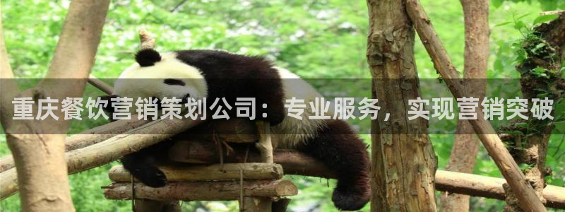 必赢平台网