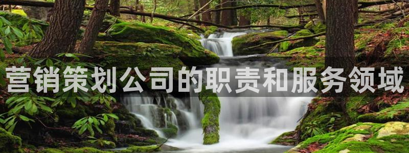 必赢437官网