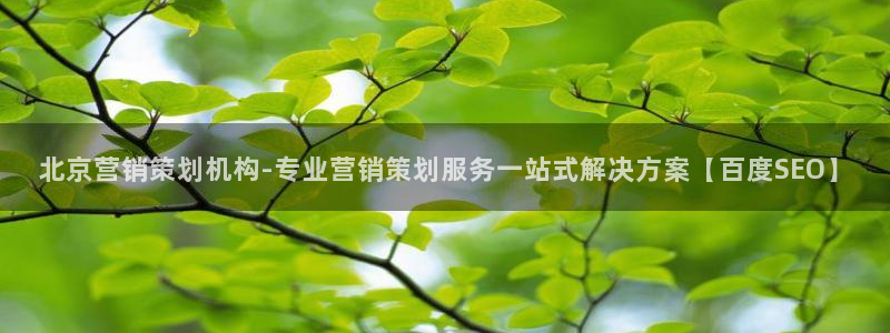 必赢app能挣钱吗