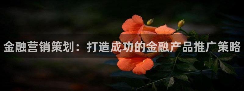 必赢最新消息