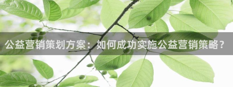 必赢手机app下载 最新版安卓苹果