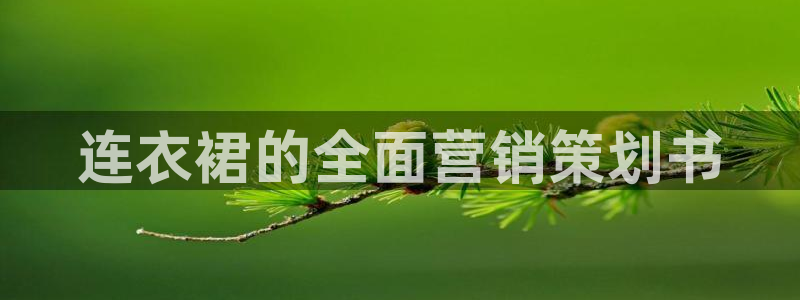必赢资讯下载