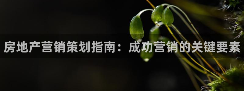 必赢网址手机主页在哪