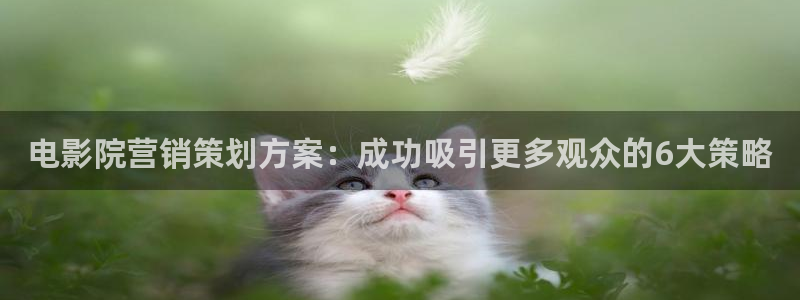 必赢下载安卓版下载