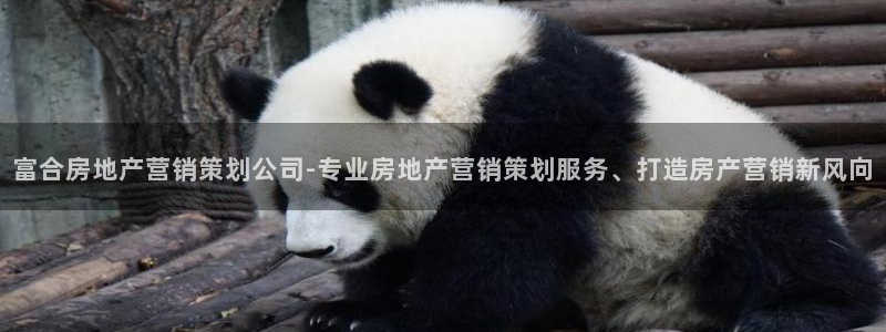 必赢亚赢网站官网下载手机版安卓