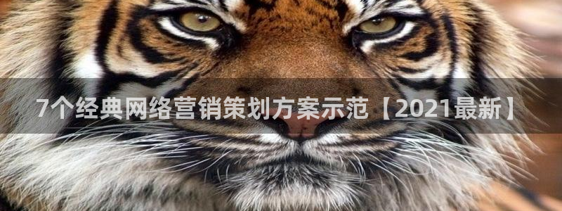 必赢app官方