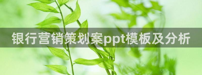 必赢官网网址8873