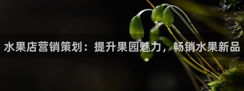 必赢网站打不开