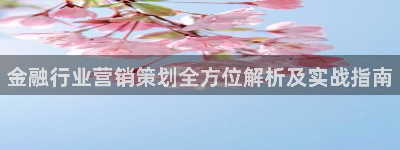 必赢公司