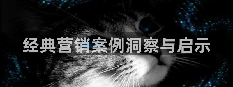 必赢3003注册3003登录