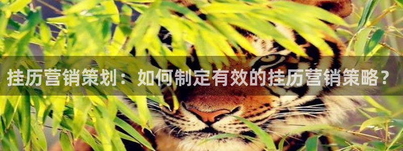 必赢qp