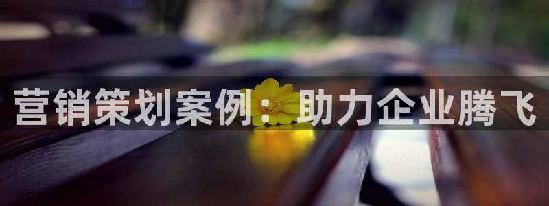 必赢手机app下载 最新版本