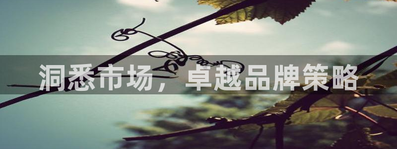 必赢app安卓版下载