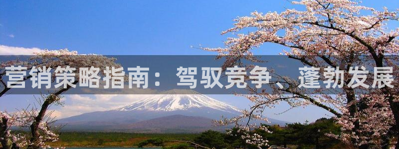 必赢网址官网
