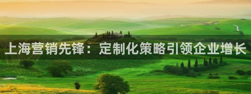 必赢官网网址多少号登录