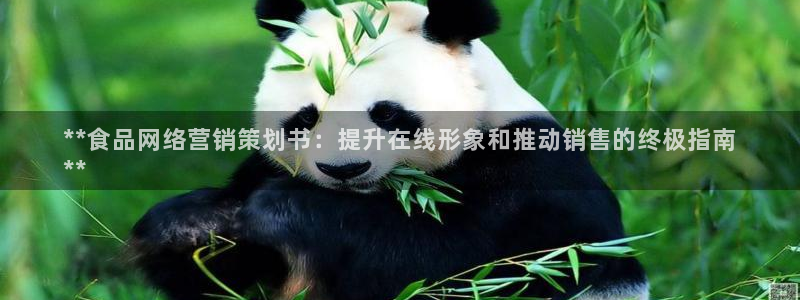 必赢网站平台登录
