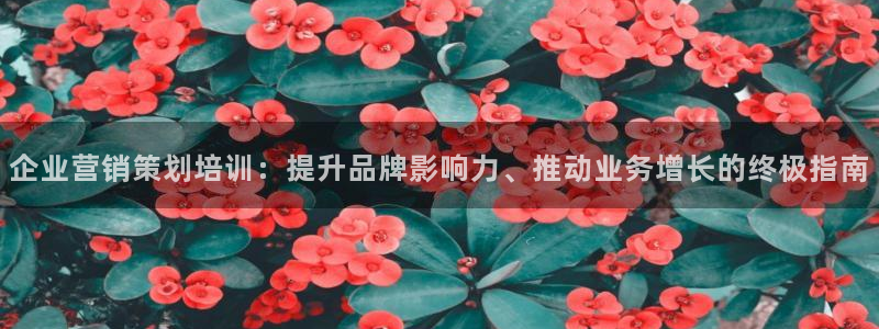 必赢平台官方下载