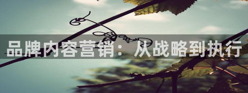 必赢下载地址