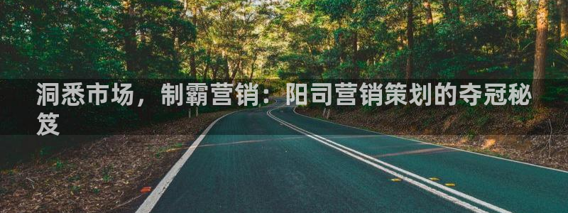 必赢线上网址查询