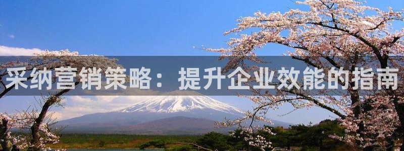 必赢国际app下链接