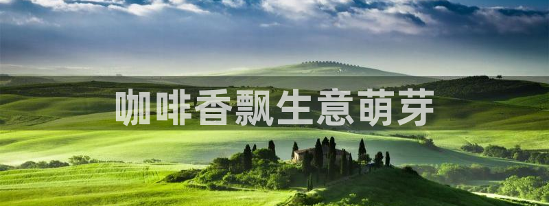 必赢网站有哪些
