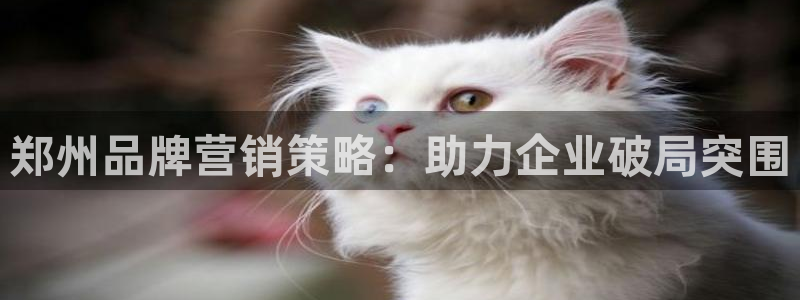 必赢的意思是什么
