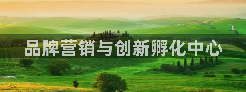 必赢国际怎么样