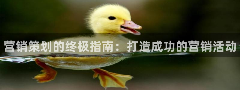 必赢集团怎么样