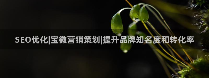 必赢平台官方电话