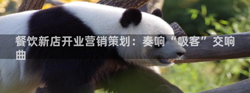 776net必赢官网