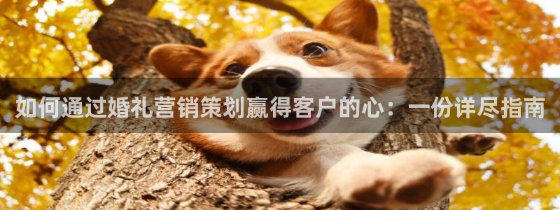 必赢qp