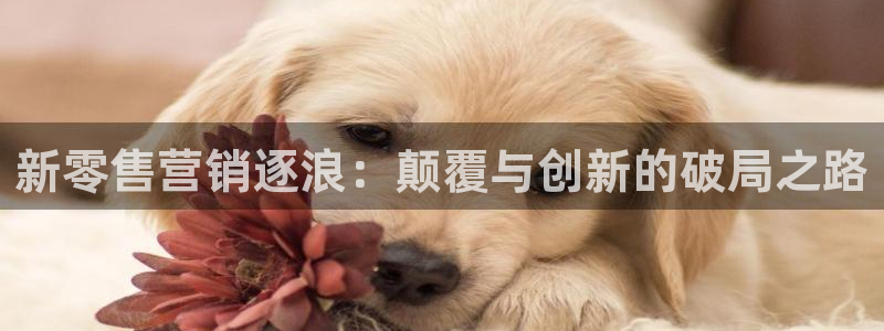 必赢官网网站首页入口