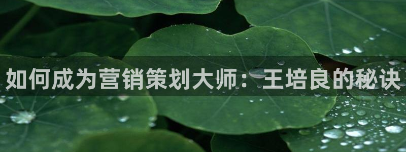 必赢最新