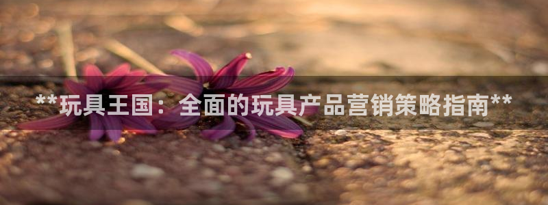 必赢科技北京有限公司
