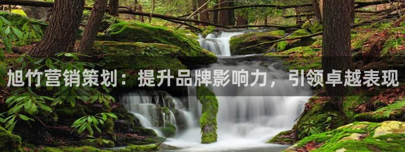 必赢3003必赢贵族宾会
