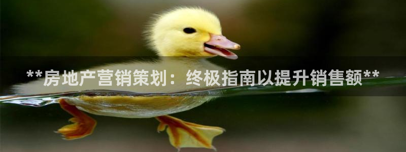 必赢亚赢网站官网下载