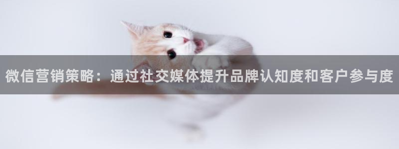 必赢网址手机主页怎么设置