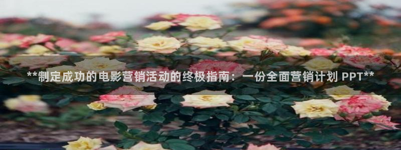 必赢亚赢网站官网下载安装
