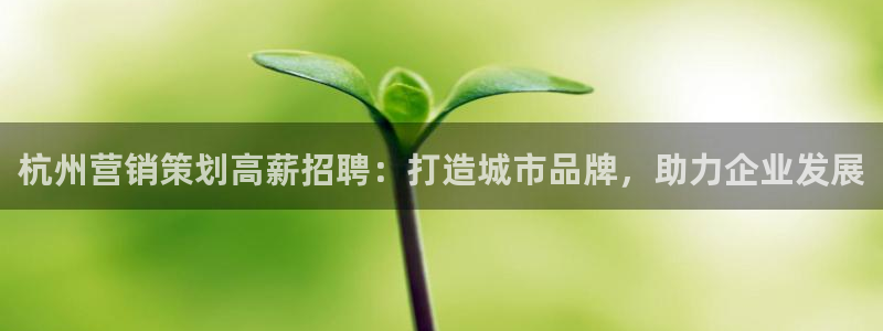 必赢线上网址是什么