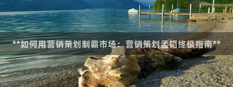 必赢旧网站