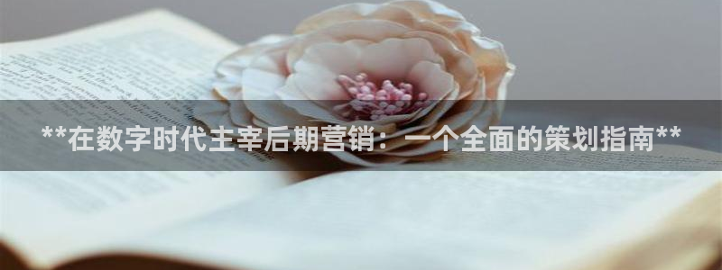必赢下载软件