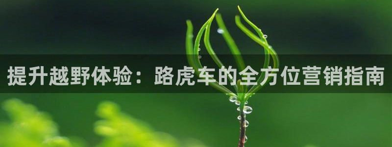 必赢官网入口下载安装手机版