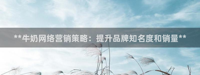 必赢网怎么打不开了呀