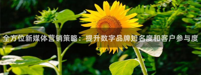 必赢活动安卓下载app